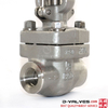 1/2 polegada de 800 lb aço inoxidável F316L Válvula de porta NPT rosqueada