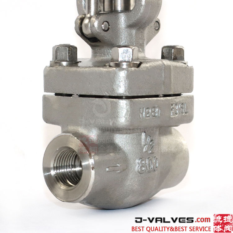 1/2 polegada de 800 lb aço inoxidável F316L Válvula de porta NPT rosqueada