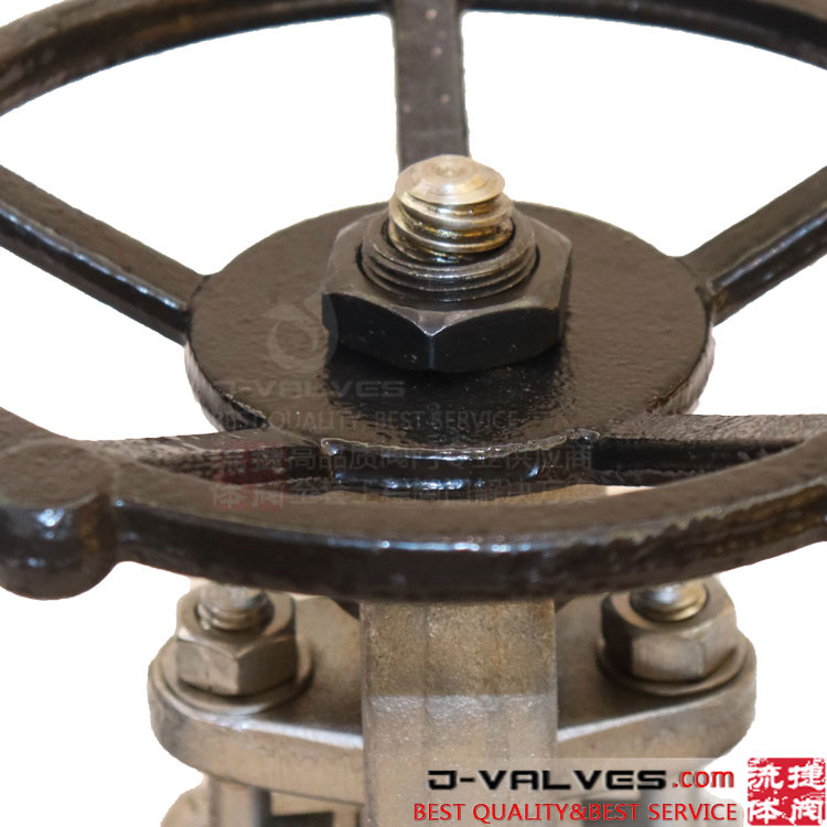 Aço forjado F316 600lb RTJ Válvula de flange