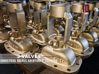 //iororwxhlpiili5q-static.leadongcdn.com/cloud/miBpoKnrRllSiqooropjk/C95800-Gate-Valve.jpg