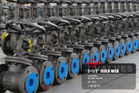 //iororwxhlpiili5q-static.leadongcdn.com/cloud/miBpoKnrRllSmqlplpppn/2-5-150LB-WCB-Casting-Globe-Valve.jpg