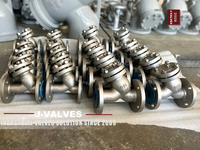 //iororwxhlpiili5q-static.leadongcdn.com/cloud/miBpoKnrRllSqikonjlpk/Y-type-strainer-5-5-he1-150LB-C98500-kaobei.jpg