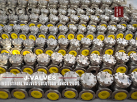 //iororwxhlpiili5q-static.leadongcdn.com/cloud/miBpoKnrRllSqkrnrkllj/Check-Valve.jpg