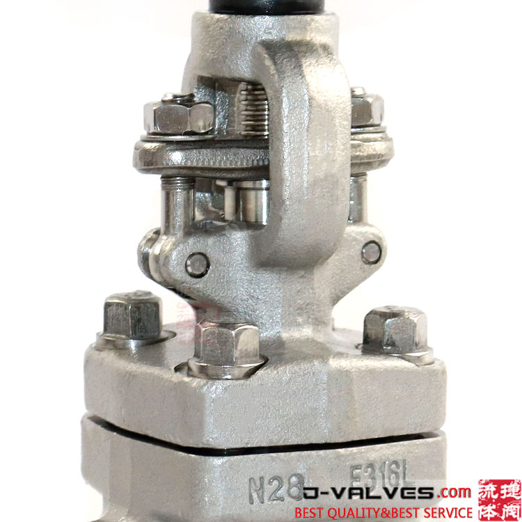 1/2 polegada de 800 lb aço inoxidável F316L Válvula de porta NPT rosqueada