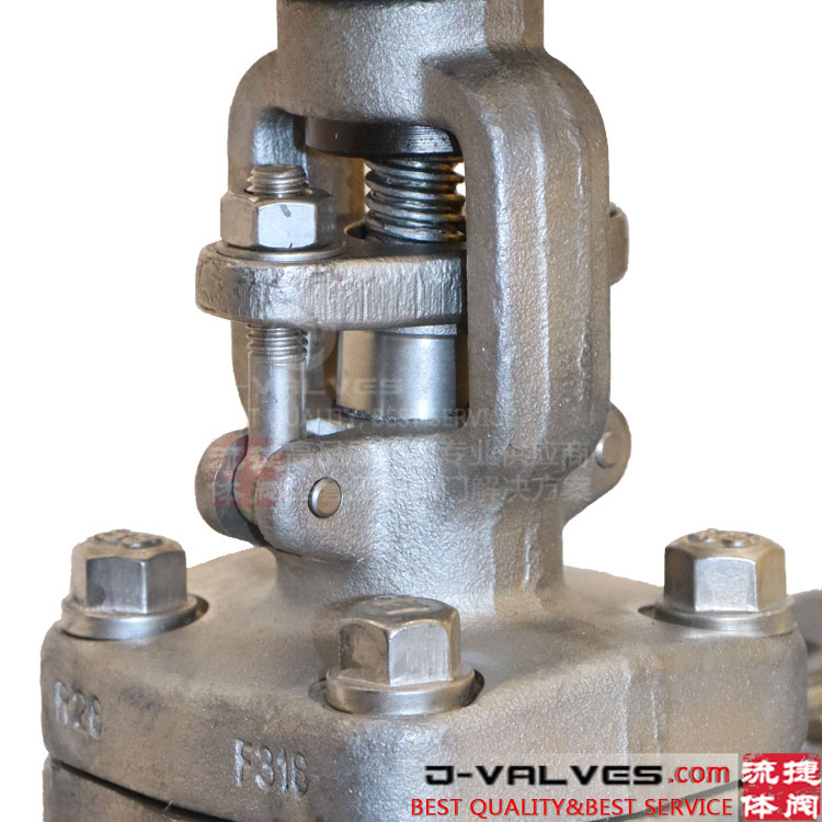 Aço forjado F316 600lb RTJ Válvula de flange