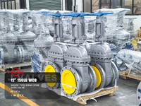 //iororwxhlpiili5q-static.leadongcdn.com/cloud/mkBpoKnrRllSiqqrpolnk/12-150LB-WCB-Wedge-Type-Rising-Stem-Gate-Valve.jpg
