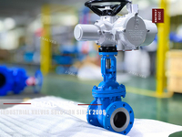 //iororwxhlpiili5q-static.leadongcdn.com/cloud/mkBpoKnrRllSlinjmklrj/WCB-Electric-Actuated-Flanged-Gate-Valve.jpg