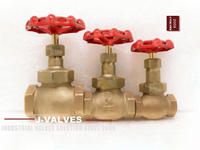//iororwxhlpiili5q-static.leadongcdn.com/cloud/mkBpoKnrRllSllnmmnlpl/Bronze-Globe-Valves.jpg