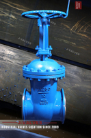 //iororwxhlpiili5q-static.leadongcdn.com/cloud/mkBpoKnrRllSmollpllml/DN250-10-WCB-Gate-valve.jpg