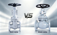//iororwxhlpiili5q-static.leadongcdn.com/cloud/mkBpoKnrRllSmonppmlmn/GATE-VALVE-VS-GLOBE-VALVE.jpg