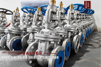 //iororwxhlpiili5q-static.leadongcdn.com/cloud/mkBpoKnrRllSqiiiqjlnj/GATE-VALVES.jpg