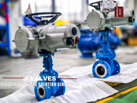 //iororwxhlpiili5q-static.leadongcdn.com/cloud/mlBpoKnrRllSlikjiolpj/WCB-Electric-Actuated-Flanged-Gate-Valve.jpg