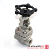 1/2 polegada de 800 lb aço inoxidável F316L Válvula de porta NPT rosqueada