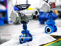 //iororwxhlpiili5q-static.leadongcdn.com/cloud/mmBpoKnrRllSkipmqrljj/GATE-VALVES2.jpg