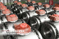//iororwxhlpiili5q-static.leadongcdn.com/cloud/mmBpoKnrRllSmqljppppl/Precision-machined-trunnion-mounted-ball-valve.jpg
