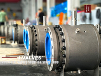//iororwxhlpiili5q-static.leadongcdn.com/cloud/mmBpoKnrRllSoiomqilrj/Trunnion-ball-valves.jpg