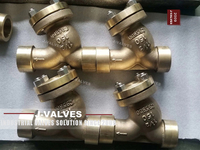 //iororwxhlpiili5q-static.leadongcdn.com/cloud/mmBpoKnrRllSqimlmllok/y-type-Bronze-Strainer-5-5-150LB-C98500.jpg