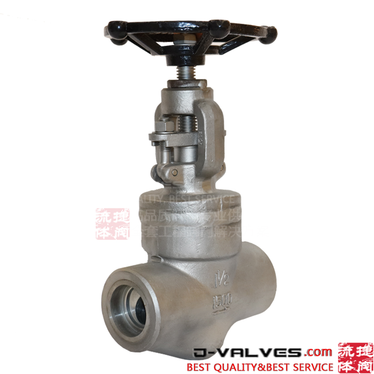 F321 1500lb de alta pressão forjada aço inoxidável F-NPT Globe Valve