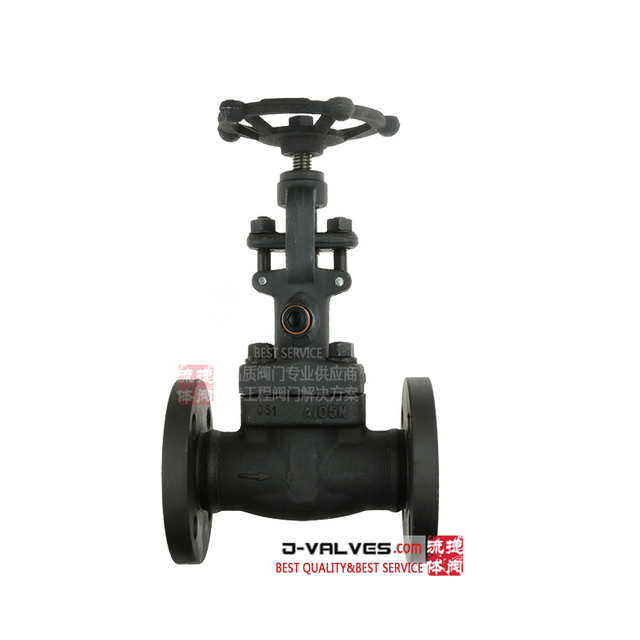 Aço de aço carbono A105N forjado de 1 polegada A105N