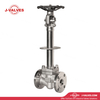Produto de válvula industrial de qualidade fabricado na China J-válvulas 150 lb rf de baixa temperatura de aço F304 Válvula globo de haste estendida