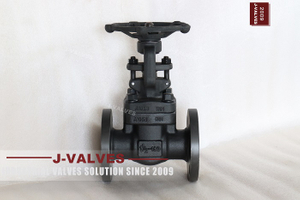 Flange Globe valves (1).jpg