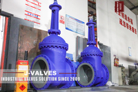 //iororwxhlpiili5q-static.leadongcdn.com/cloud/mnBpoKnrRllSrqqklolmk/DN600-PN16-GP240GH-Gate-Valve.jpg