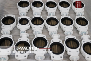 Centerline wafer butterfly valve.jpg