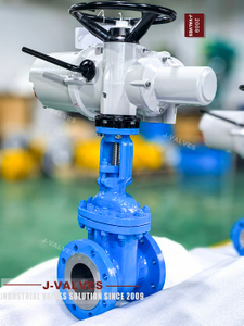 WCB Electric Actuated Flanged Gate Valve (14).jpg