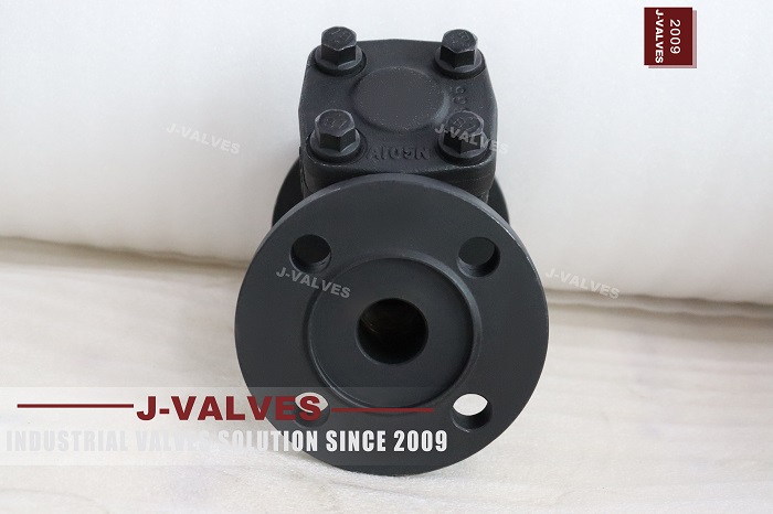 Filtro Y ASME B16.34 (4)