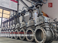 //iororwxhlpiili5q-static.leadongcdn.com/cloud/moBpoKnrRllSoikknqljj/GATE-VALVES2.jpg