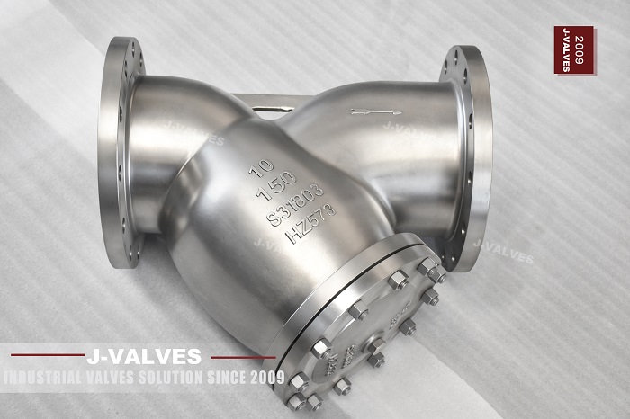 Filtro Y de 10' 300LB S31803 (3)