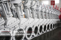 //iororwxhlpiili5q-static.leadongcdn.com/cloud/mrBpoKnrRllSljnooklnk/Gate-valves.jpg