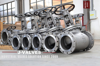 //iororwxhlpiili5q-static.leadongcdn.com/cloud/mrBpoKnrRllSlkrqlklrj/Globe-Valves.jpg