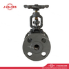 3/4 '150LB A105N v&aacute;lvula globo com flange de a&ccedil;o forjado