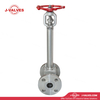 5.5 V&aacute;lvula de gaveta de haste longa 300 F304
